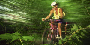 Aaron Court Motor Inn, Hamilton - Action Adventures, Mountain Biking