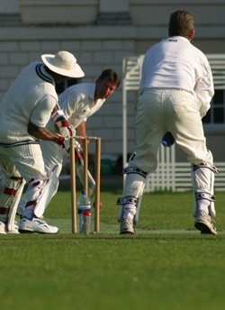 Aaron Court Motor Inn, Hamilton - Sports, Rugby, V8 Supercars, Cricket